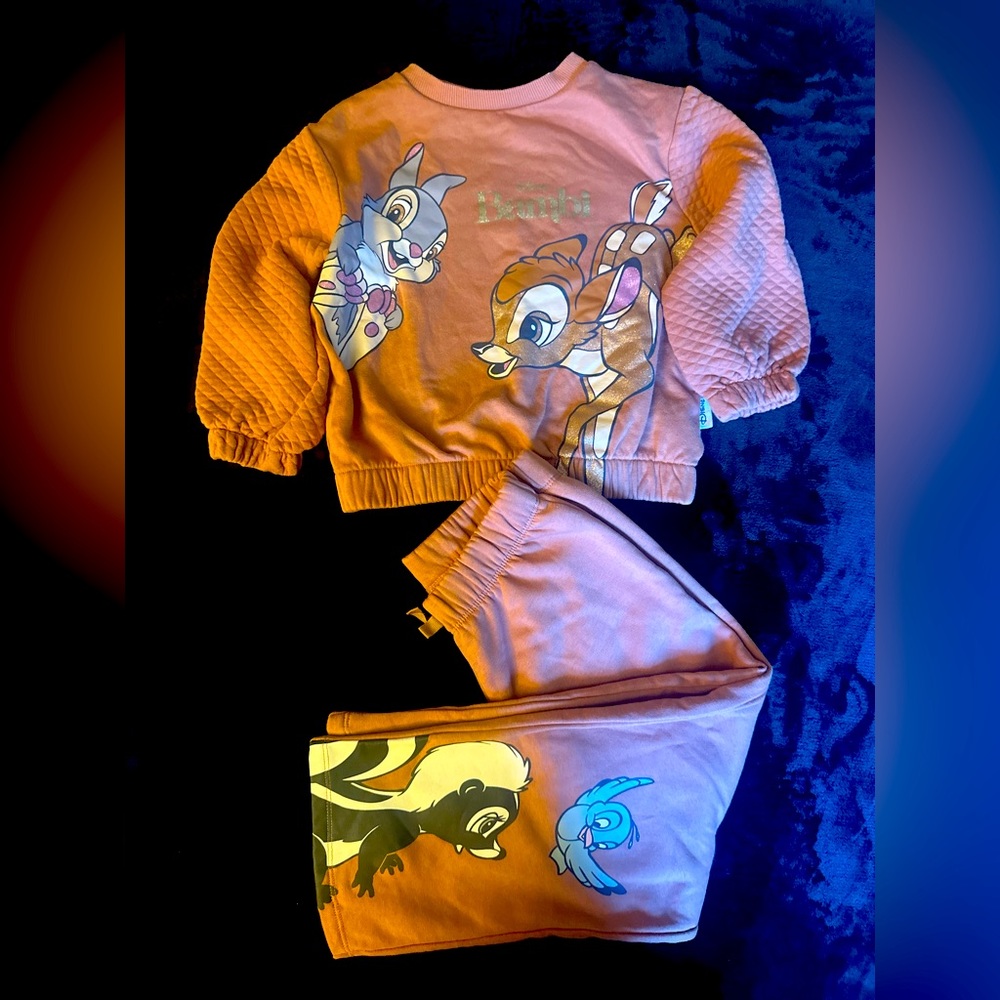 Disney Outfit for your Princess